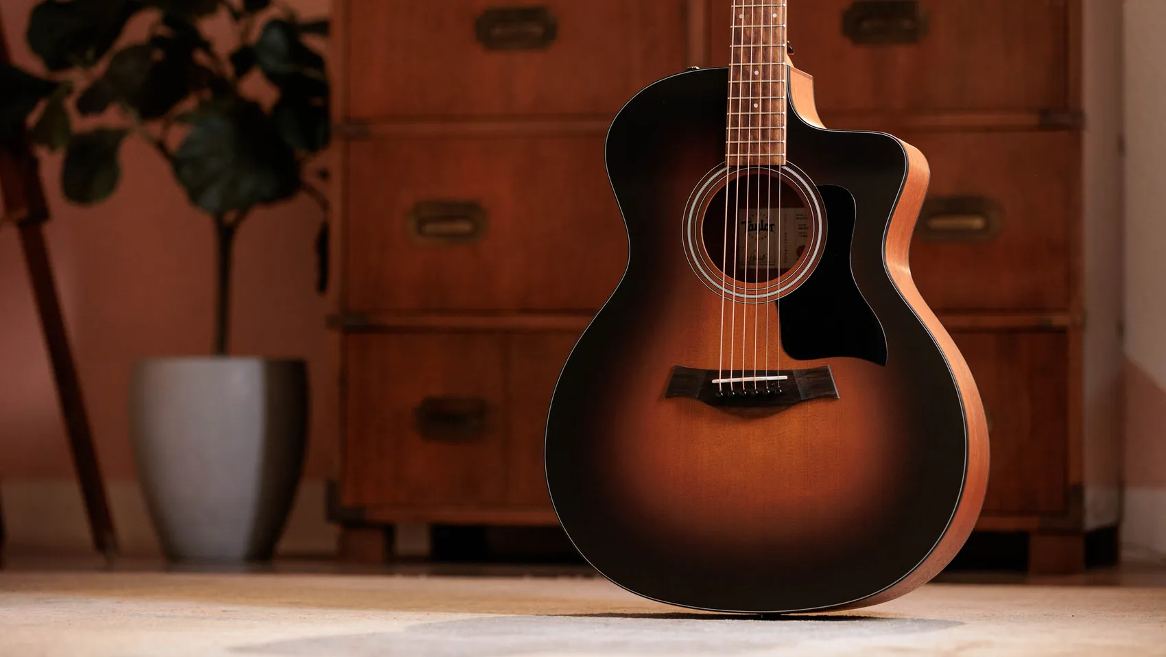 114ce Special Edition Sapele Acoustic-Electric Guitar | Taylor Guitars